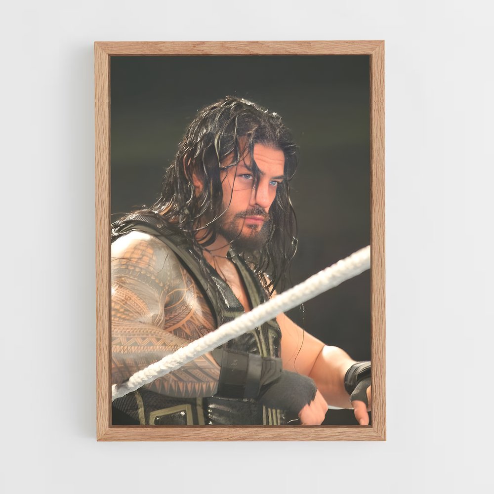 Poster Roman Empire (vue 4)